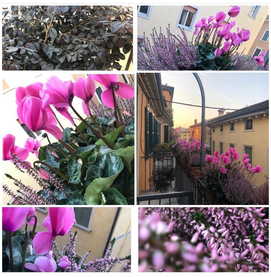Veronantica B&B Εξωτερικό φωτογραφία